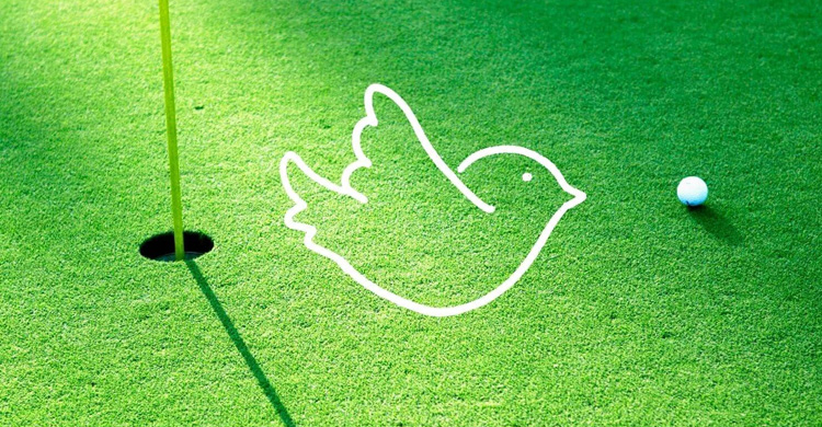 Tìm hiểu về Birdie Golf: Cách tính điểm và kỷ lục tiêu biểu