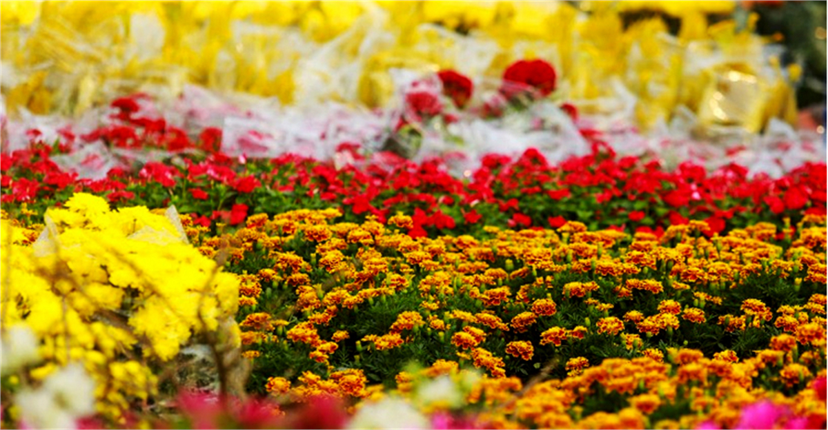 Điểm danh những chợ hoa Tết cực đẹp nhất định phải đến vào ngày xuân
