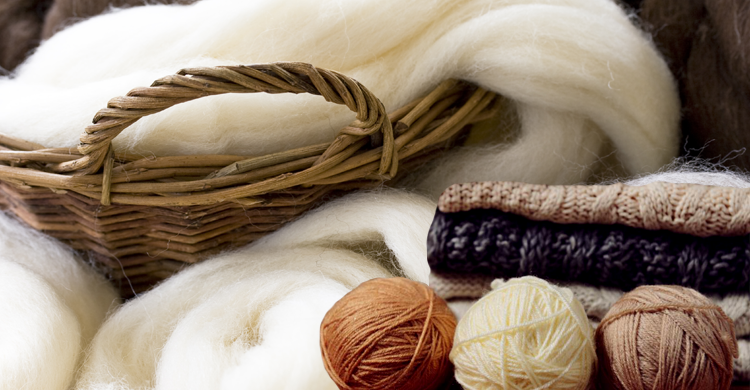 Lịch sử ra đời của vải len? Và 12 loại len phổ biến nhất trên thế giới