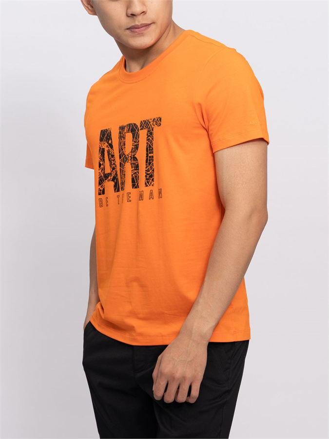 Áo T-Shirt nam Aristino ATS016S8
