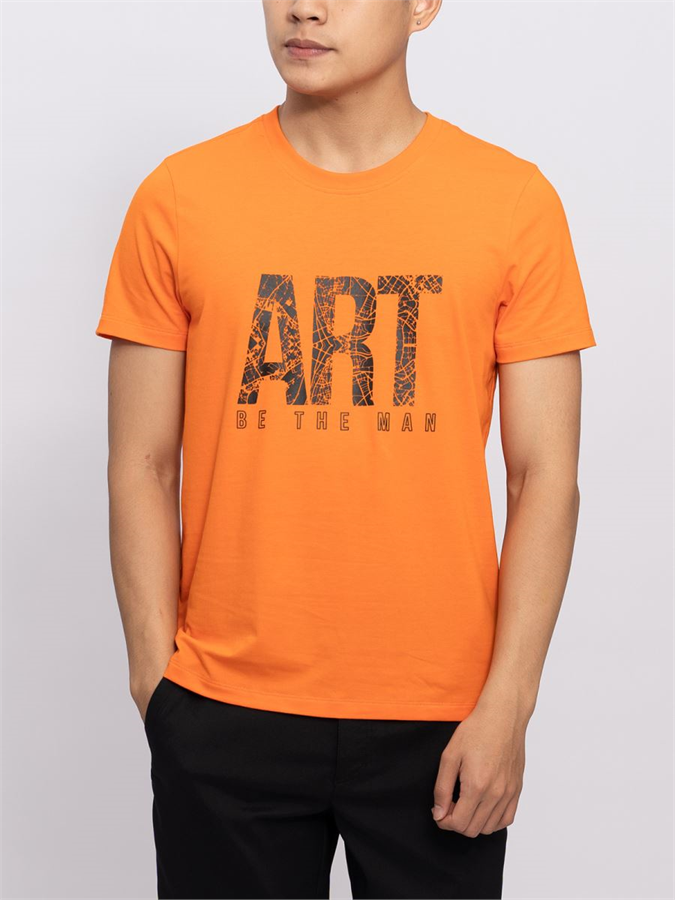 Áo T-Shirt nam Aristino ATS016S8