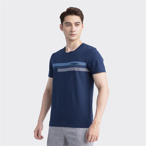 Áo T-shirt ngắn tay Aristino ATS012S3