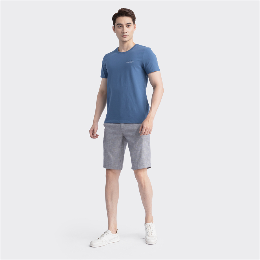 Áo thun T-shirt ngắn tay Aristino ATS022S3