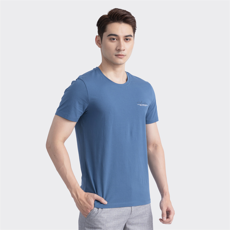 Áo thun T-shirt ngắn tay Aristino ATS022S3