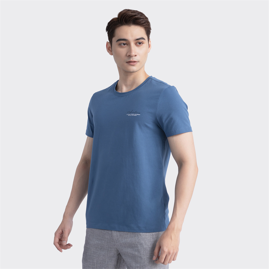 Áo thun T-shirt ngắn tay Aristino ATS022S3