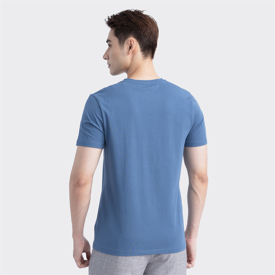 Áo thun T-shirt ngắn tay Aristino ATS022S3