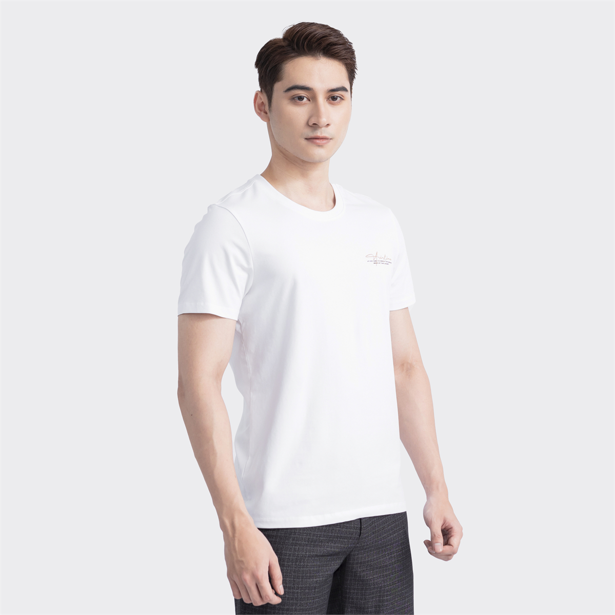 Áo thun T-shirt ngắn tay Aristino ATS022S3