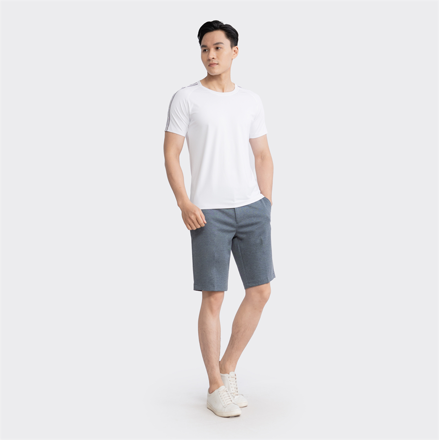 Áo thun T-shirt ngắn tay Aristino ATS023S3