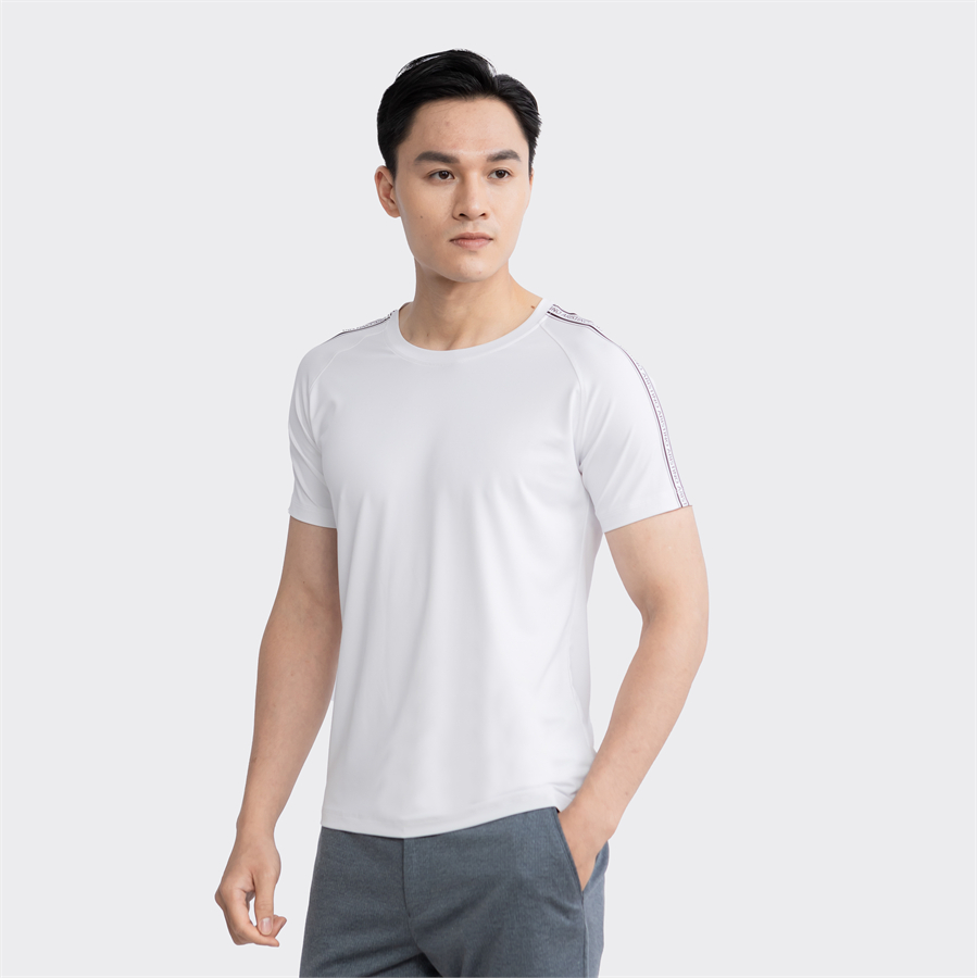 Áo thun T-shirt ngắn tay Aristino ATS023S3