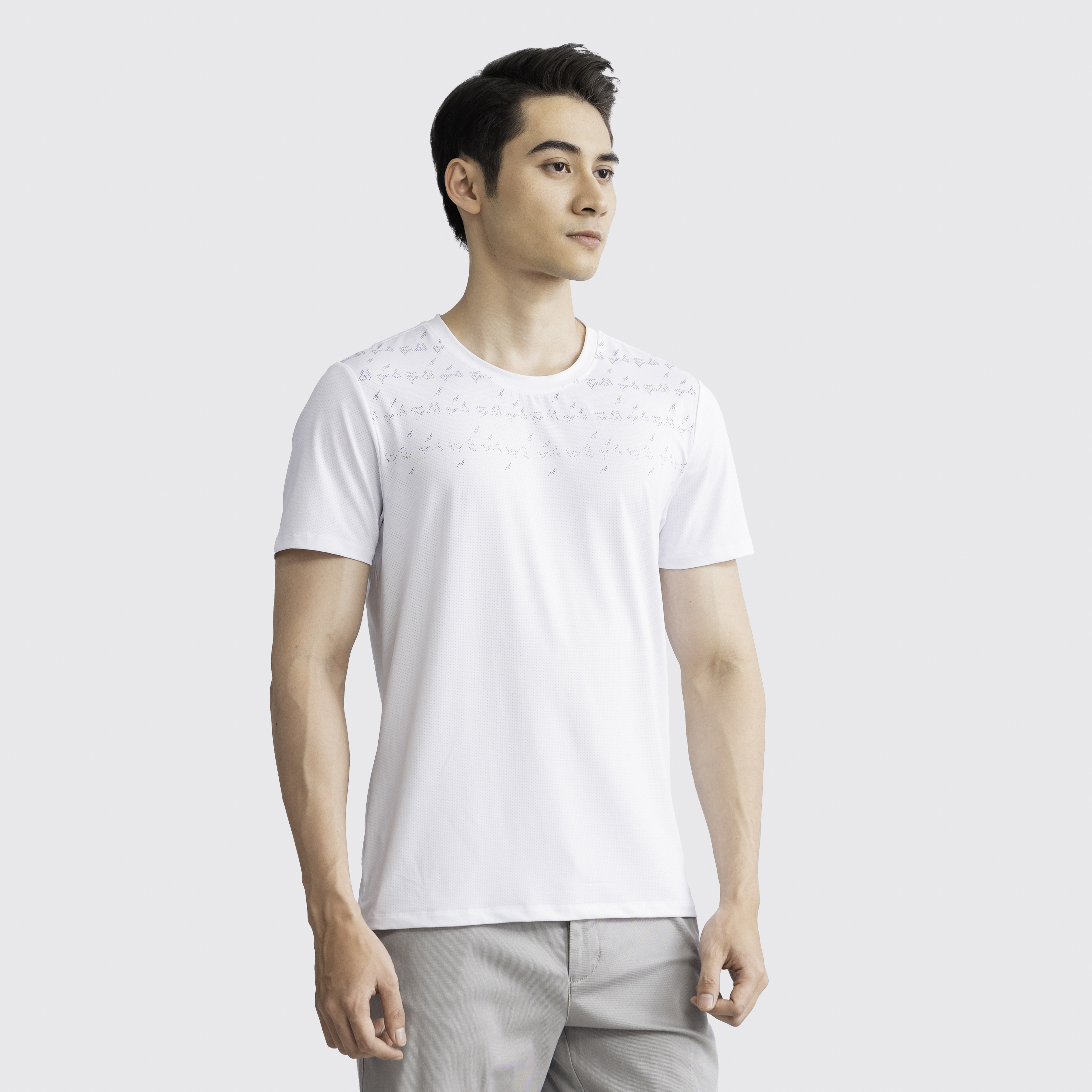 Áo T-shirt ngắn tay Aristino ATS028S3